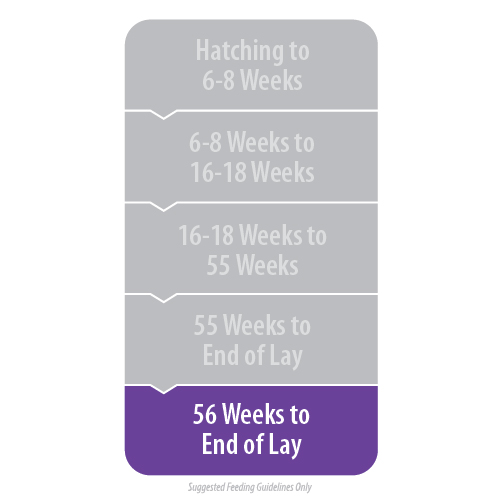 Golden Yolk Layer Econo pellets - Image 2