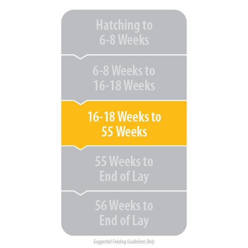 Golden Yolk Layer Phase 1 Pellets - Image 2