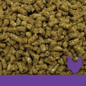 Golden Yolk Layer Econo pellets