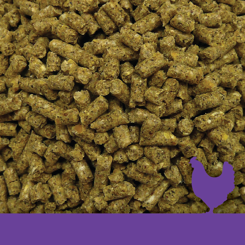 Golden Yolk Layer Econo pellets