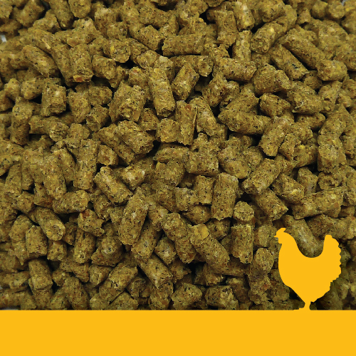 Golden Yolk Layer Phase 1 Pellets