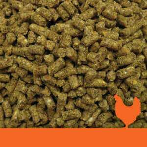 Golden Yolk Layer Phase 2 Pellets